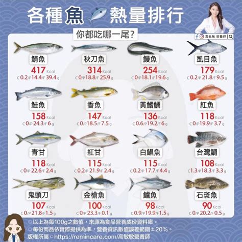 水中的魚|魚類之最 